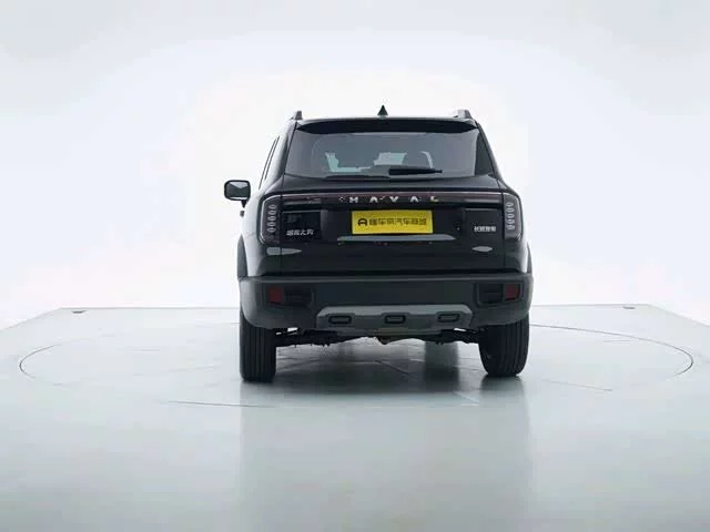 Haval Big Dog DaGou