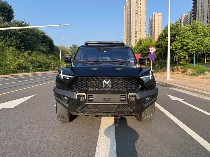 Mengshi 917