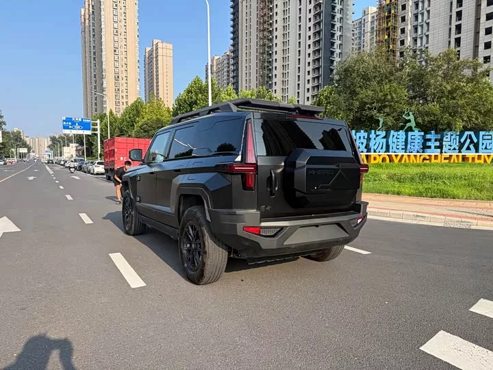 Mengshi 917