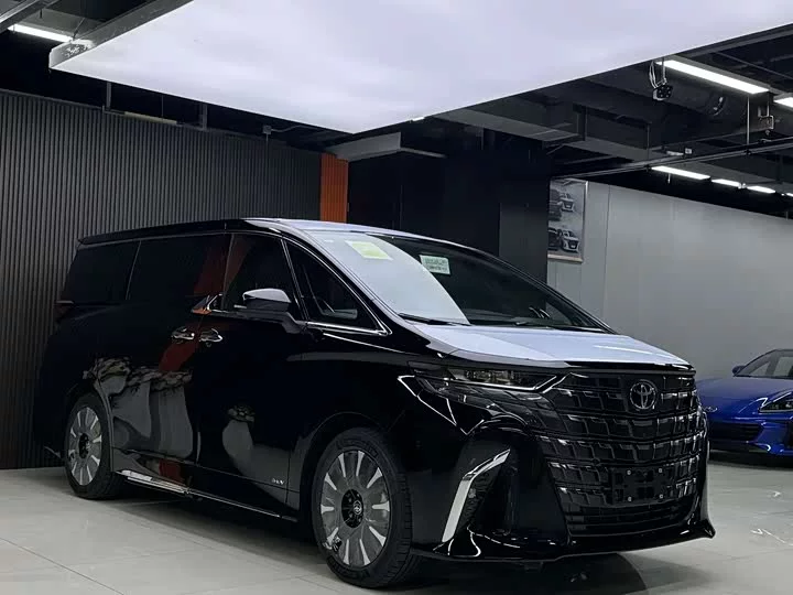 Toyota Elfa