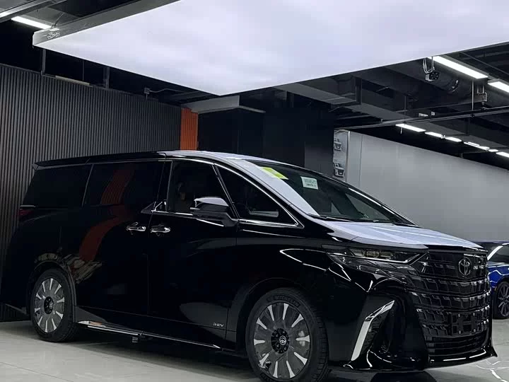 Toyota Elfa