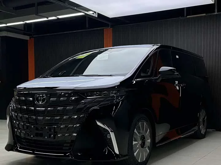Toyota Elfa