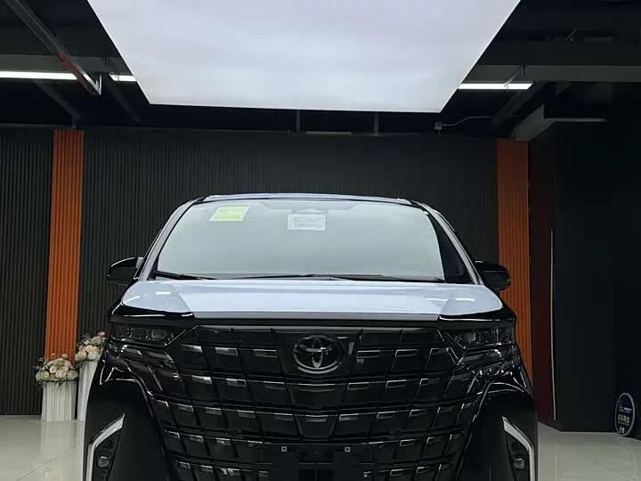Toyota Elfa