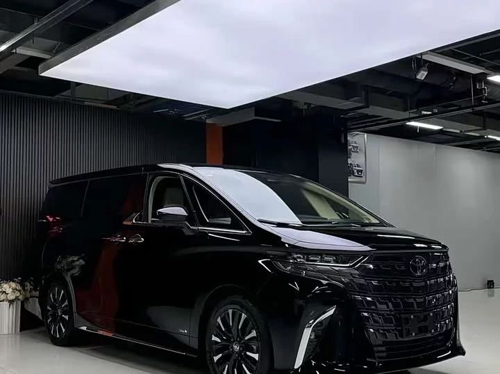 Toyota Elfa