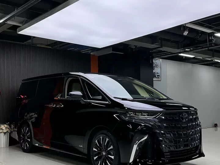 Toyota Elfa
