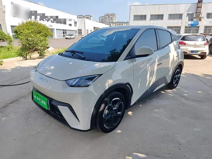 BYD seagull