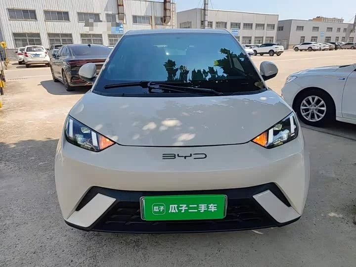 BYD seagull