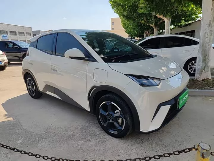 BYD seagull
