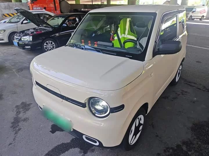 Geely panda