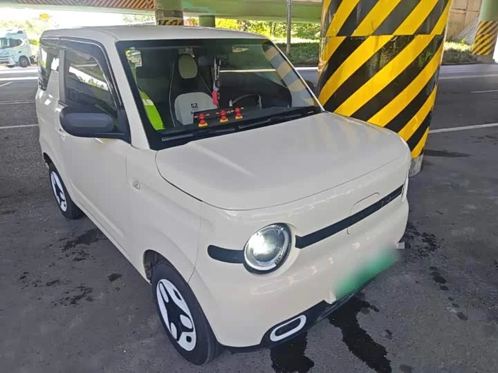 Geely panda