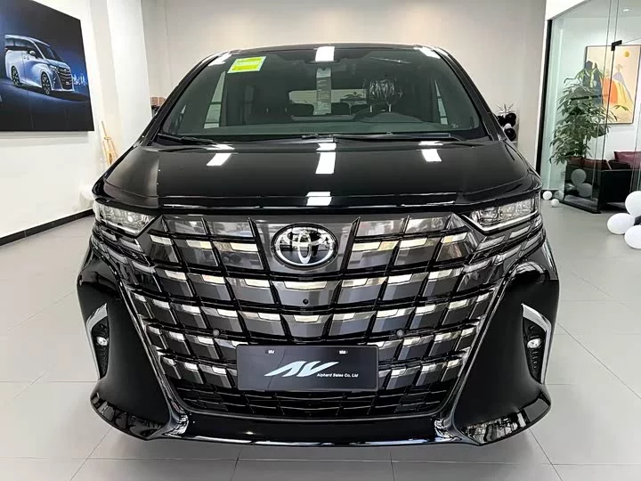 Toyota Elfa