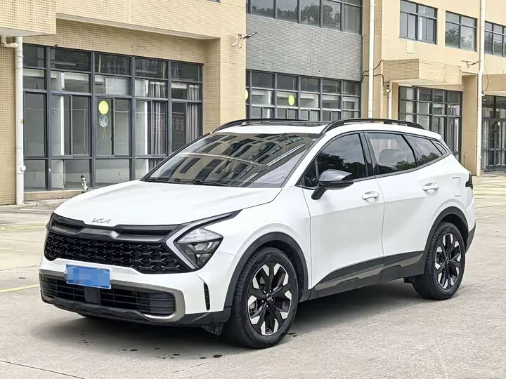 kia Lion Platinum Expands the Boundary