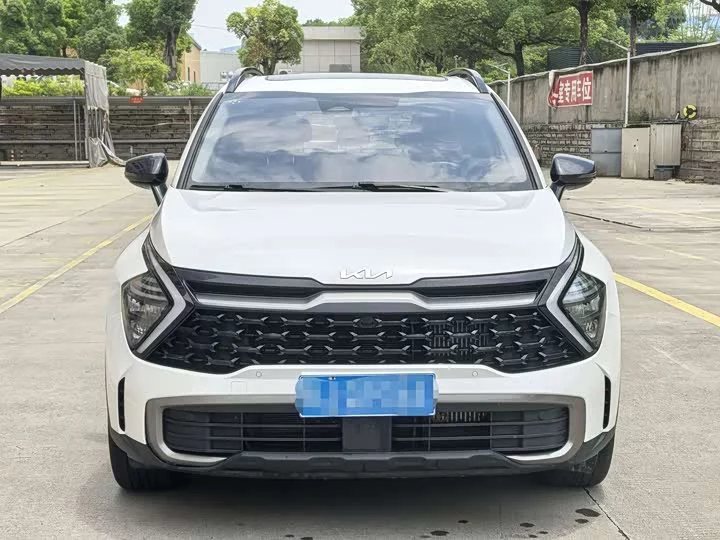 kia Lion Platinum Expands the Boundary