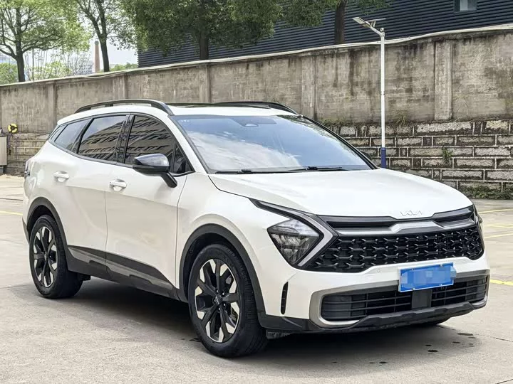 kia Lion Platinum Expands the Boundary