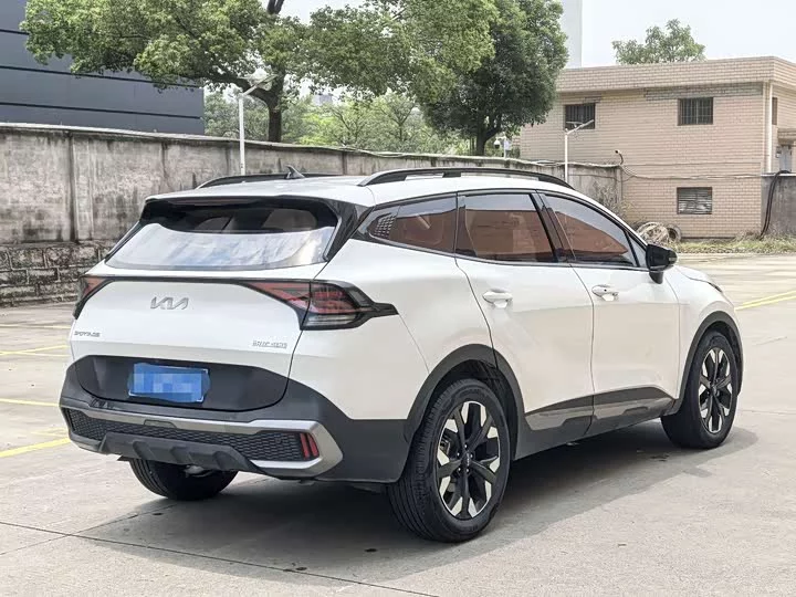 kia Lion Platinum Expands the Boundary