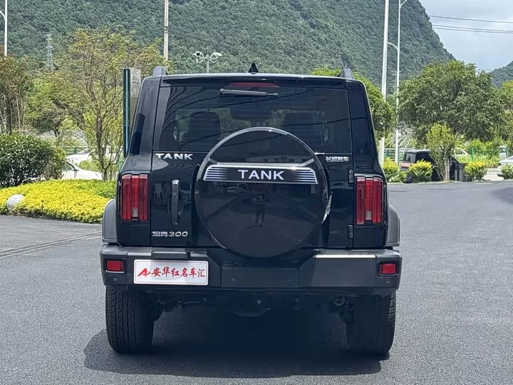 tank 300