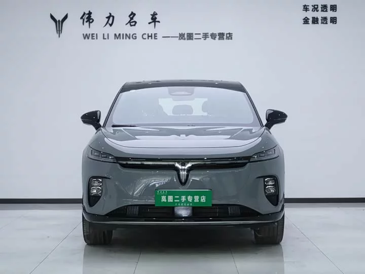 Lantu Automobile Lantu Zhiyin