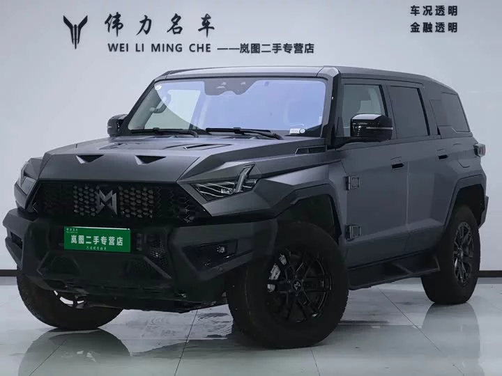 Mengshi 917