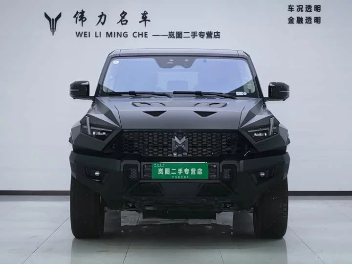 Mengshi 917