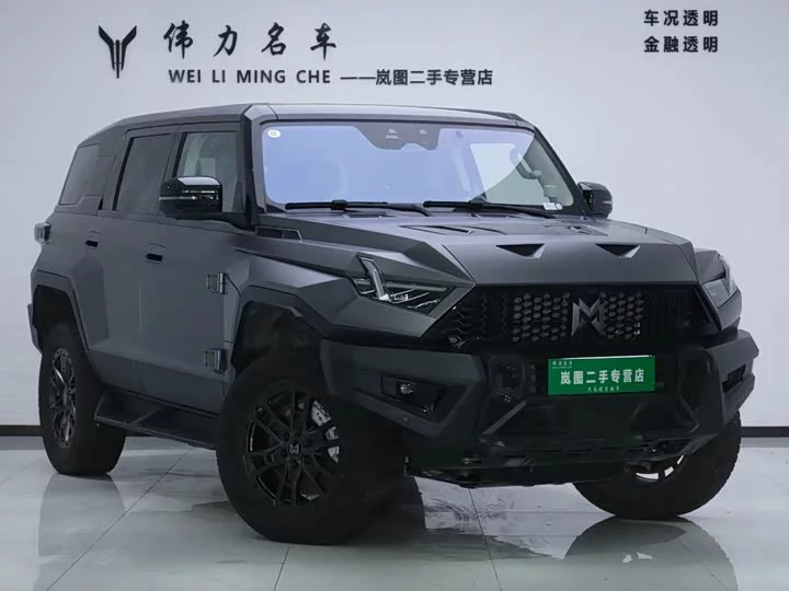 Mengshi 917