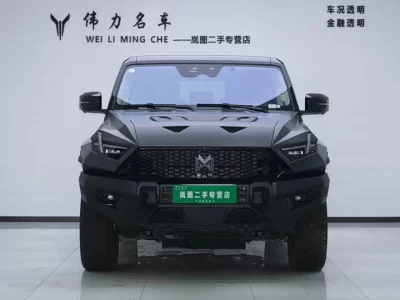 Mengshi 917