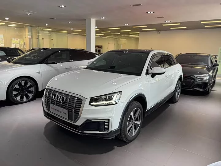 Audi Q2L e-tron
