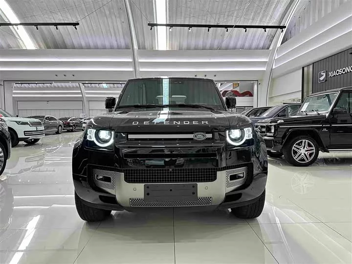 Land Rover guard