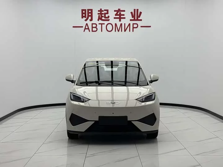 BYD seagull