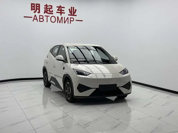BYD seagull