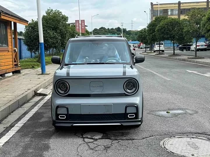 Geely panda