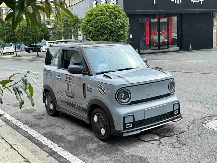 Geely panda