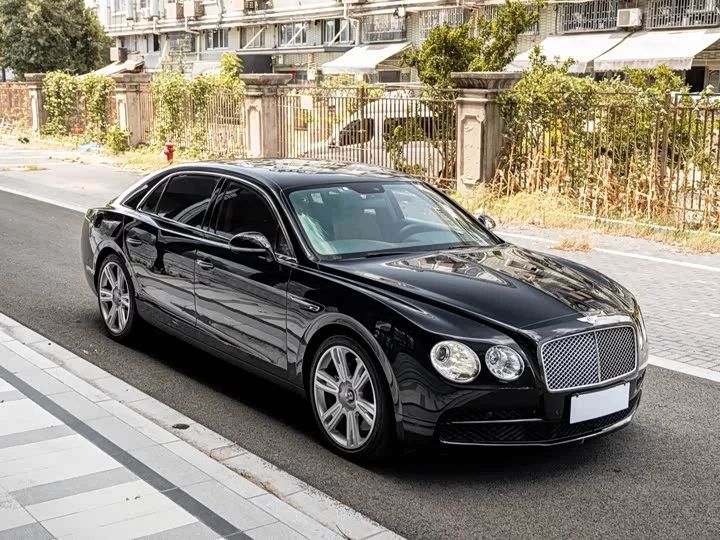 Bentley galloping