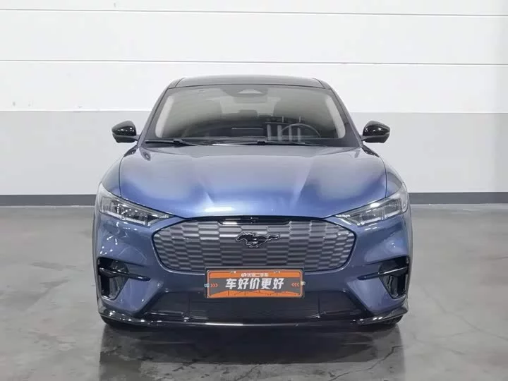 Ford electric horse