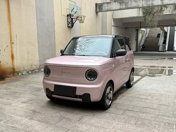 Geely panda
