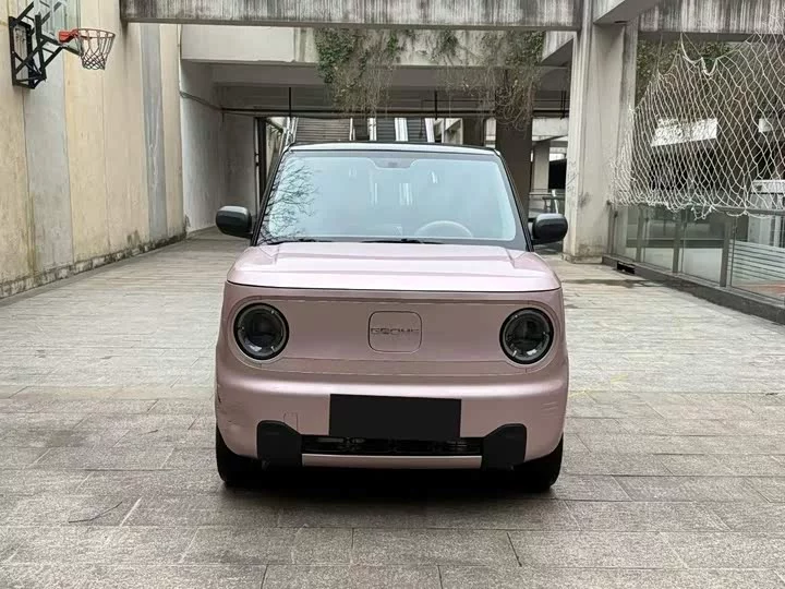 Geely panda