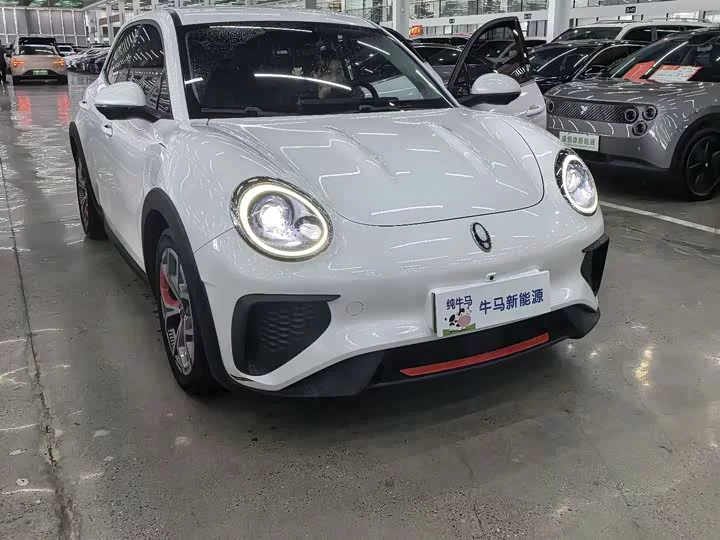 ORA Good Cat GT