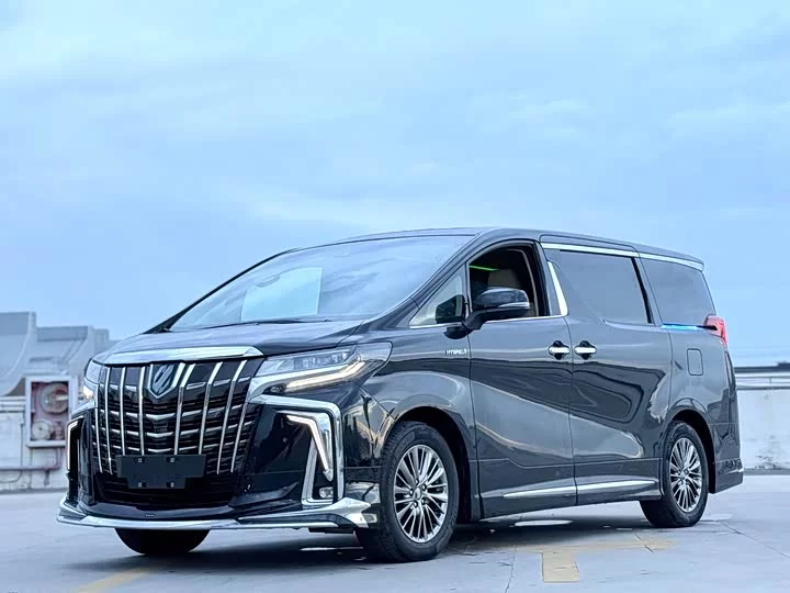 Toyota Elfa