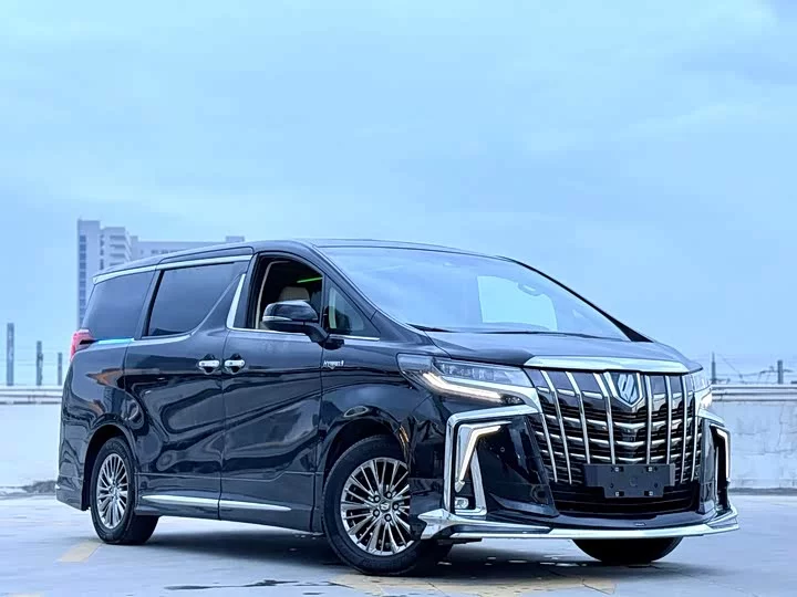 Toyota Elfa