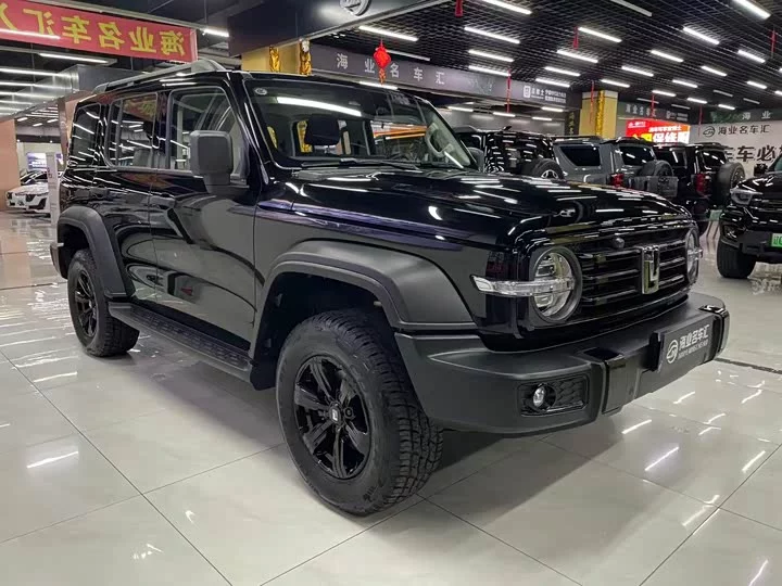 tank 300