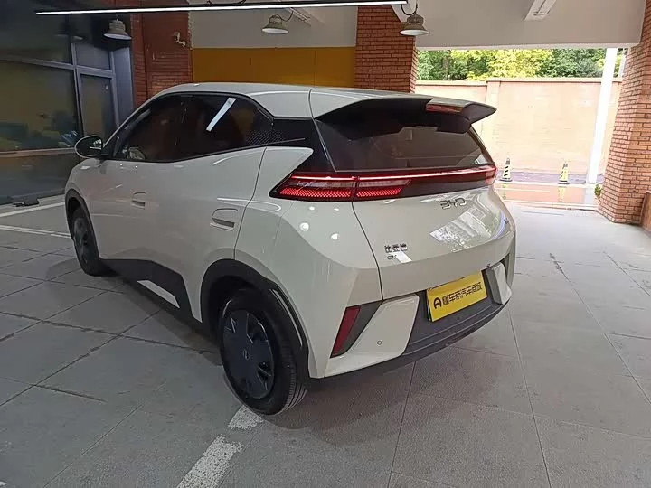 BYD seagull