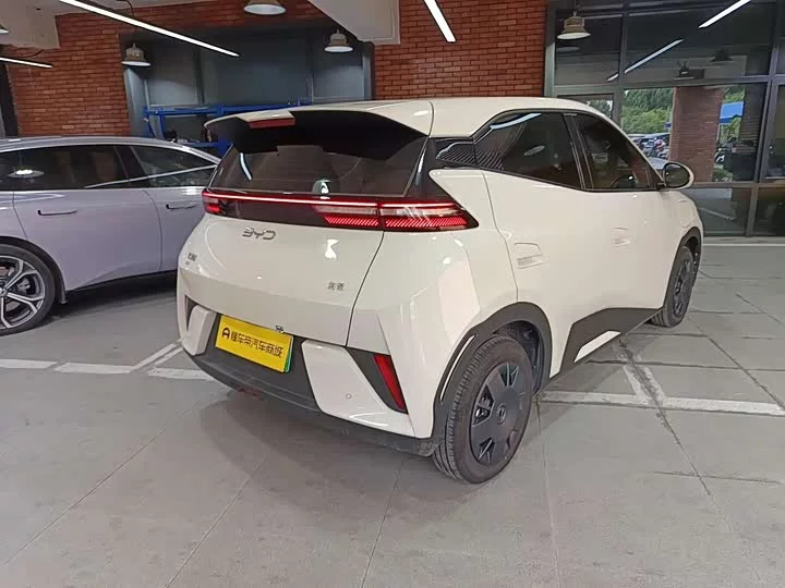 BYD seagull