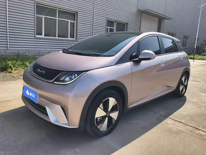 BYD dolphin