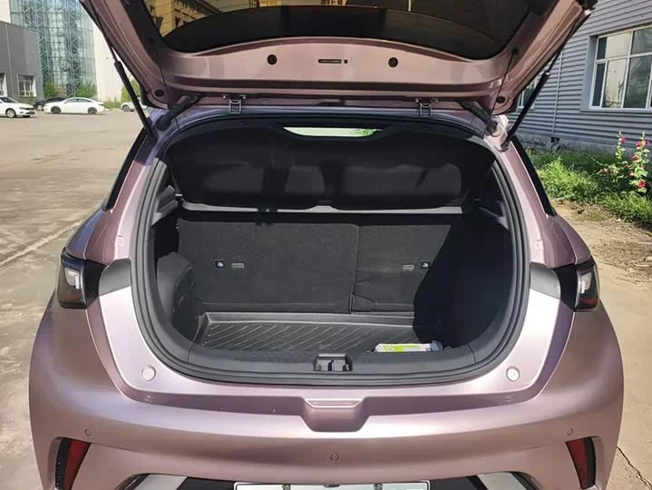 BYD dolphin