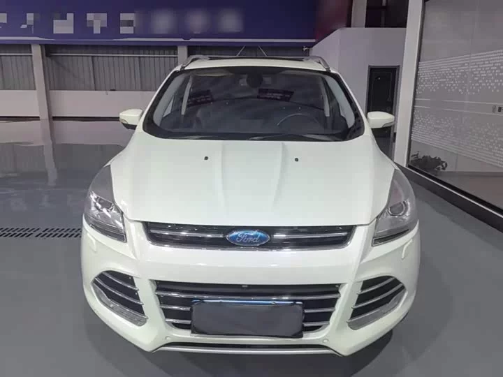Ford wing tiger