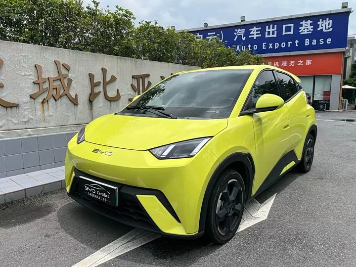 BYD seagull