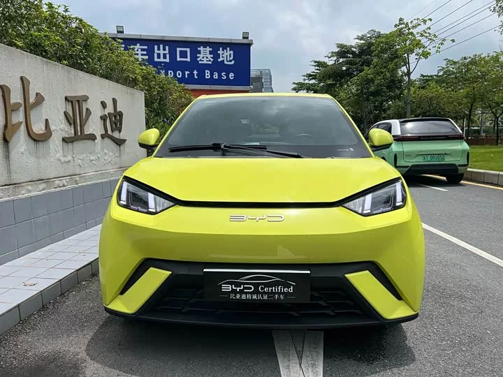 BYD seagull