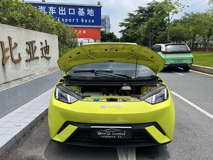 BYD seagull
