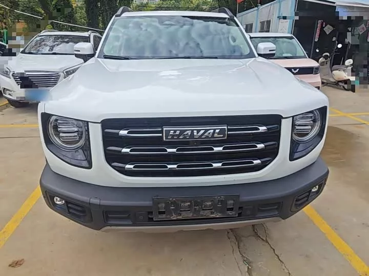 Haval Big Dog DaGou