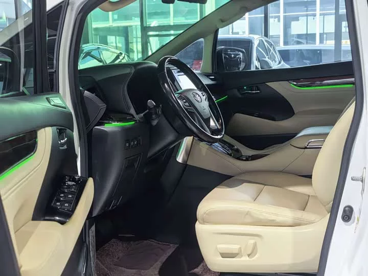 Toyota Elfa