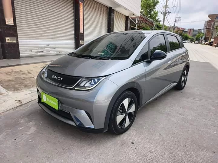 BYD dolphin